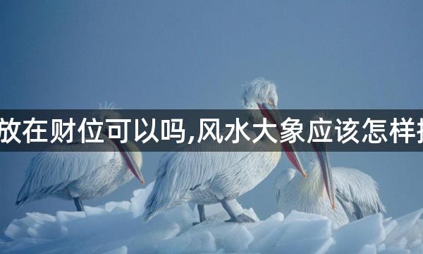 大象放在财位可以吗,风水大象应该怎样摆放？