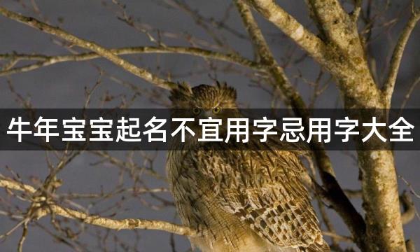 牛年宝宝起名不宜用字忌用字大全