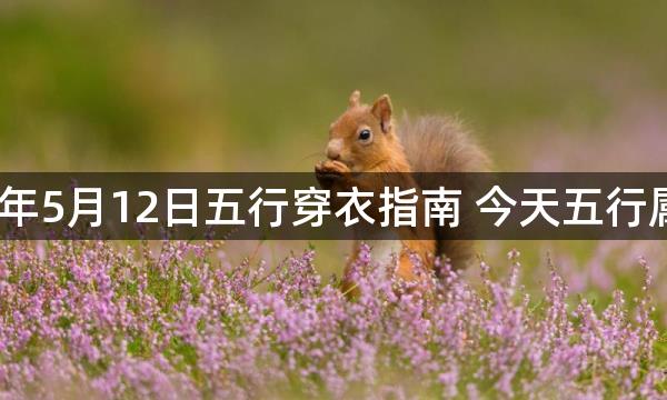 2023年5月12日五行穿衣指南 今天五行属什么