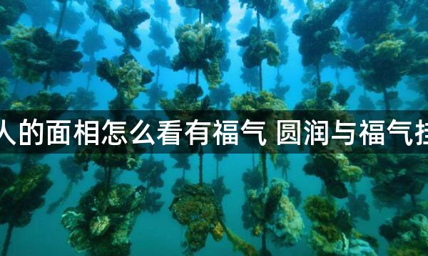 女人的面相怎么看有福气 圆润与福气挂钩