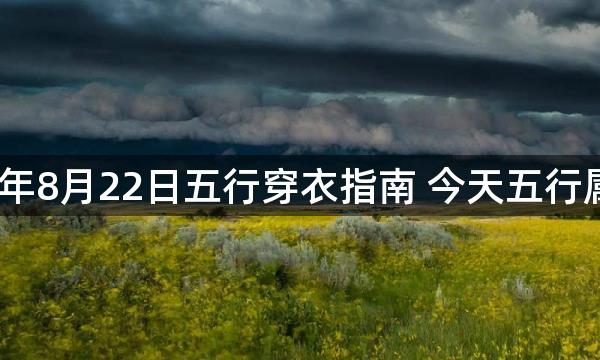 2023年8月22日五行穿衣指南 今天五行属什么