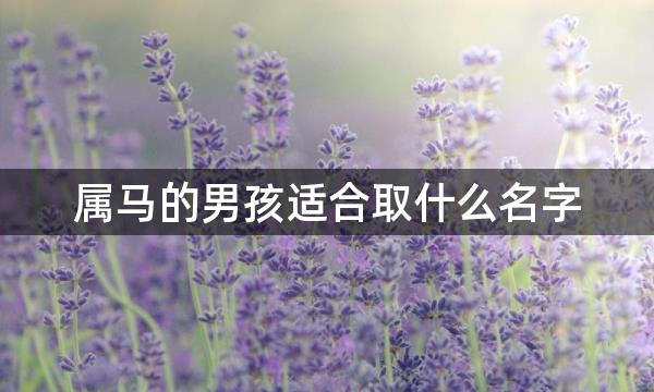 属马的男孩适合取什么名字