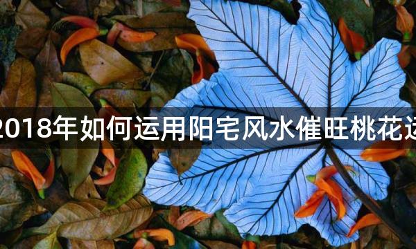 2018年如何运用阳宅风水催旺桃花运