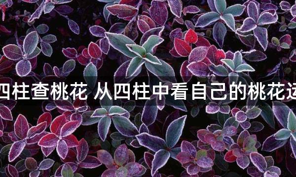 八字四柱查桃花 从四柱中看自己的桃花运例子