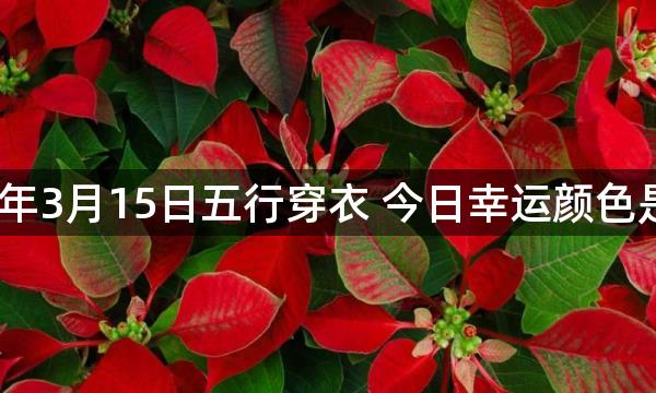 2023年3月15日五行穿衣 今日幸运颜色是什么