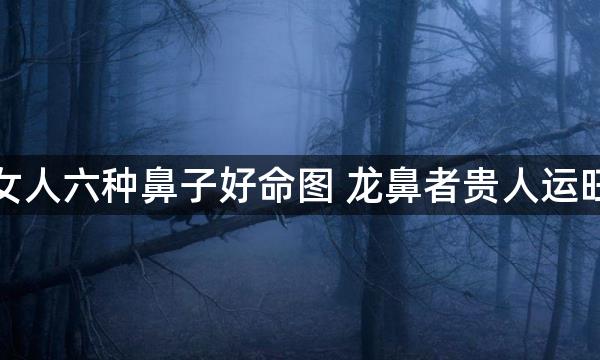 女人六种鼻子好命图 龙鼻者贵人运旺