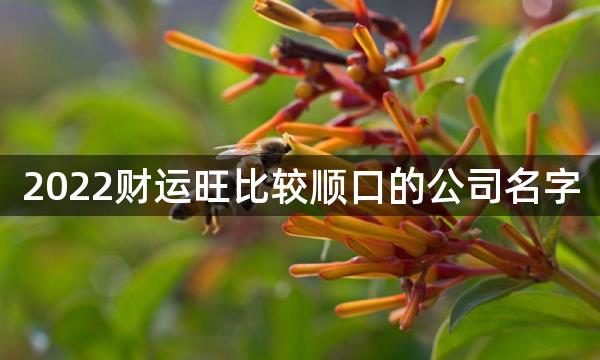 2022财运旺比较顺口的公司名字