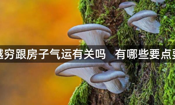 越来越穷跟房子气运有关吗   有哪些要点要注意