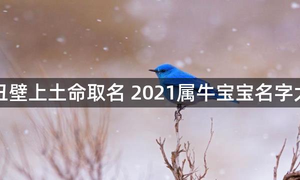 辛丑壁上土命取名 2021属牛宝宝名字大全