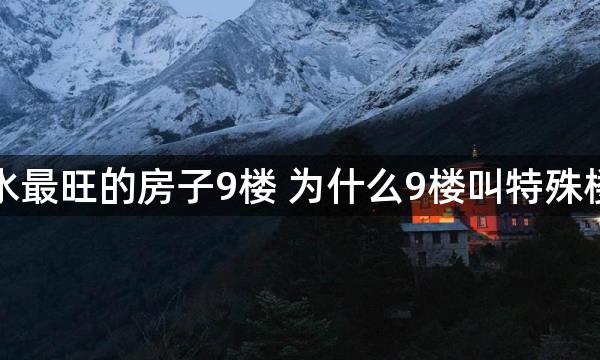 风水最旺的房子9楼 为什么9楼叫特殊楼层