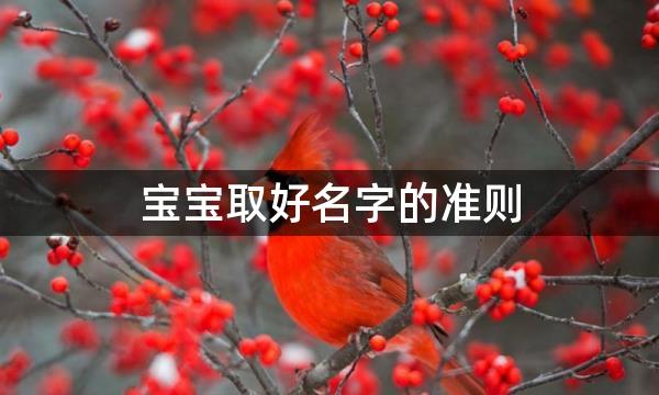 宝宝取好名字的准则