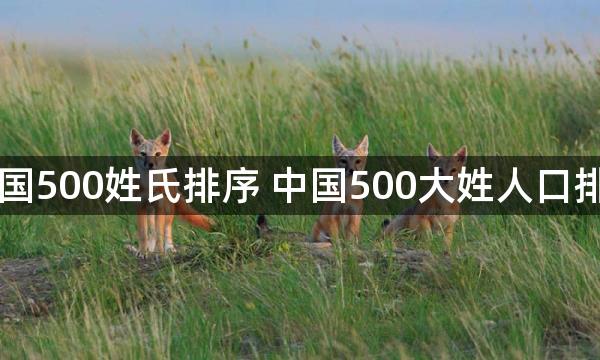 中国500姓氏排序 中国500大姓人口排名