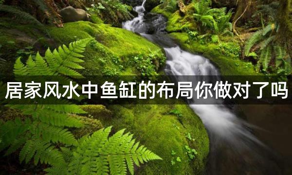 居家风水中鱼缸的布局你做对了吗