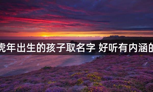 虎年出生的孩子取名字 好听有内涵的