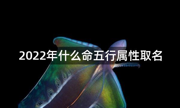 2022年什么命五行属性取名