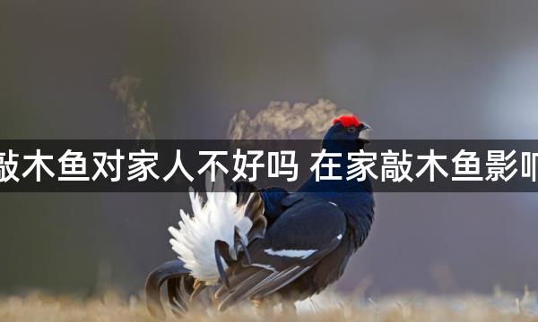 在家里敲木鱼对家人不好吗 在家敲木鱼影响風水吗