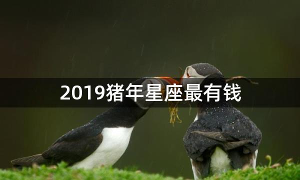 2019猪年星座最有钱