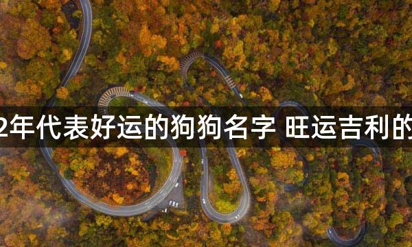 2022年代表好运的狗狗名字 旺运吉利的狗名