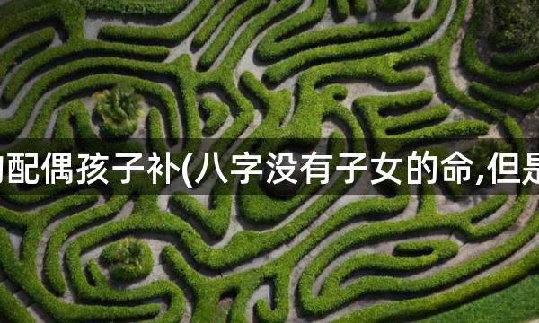 八字缺的配偶孩子补(八字没有子女的命,但是有孩子)