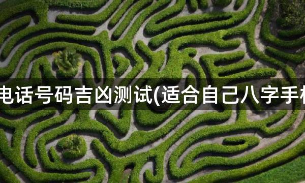 生辰八字测电话号码吉凶测试(适合自己八字手机号码 免费)