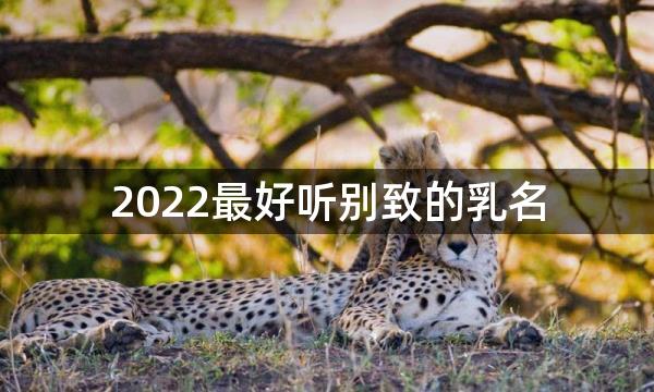 2022最好听别致的乳名