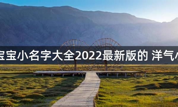 男宝宝小名字大全2022最新版的 洋气小名