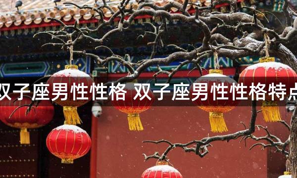 双子座男性性格 双子座男性性格特点