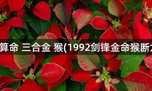 八字算命 三合金 猴(1992剑锋金命猴断六亲)