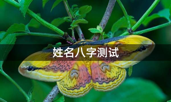 姓名八字测试