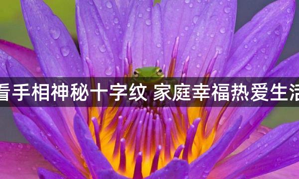 看手相神秘十字纹 家庭幸福热爱生活