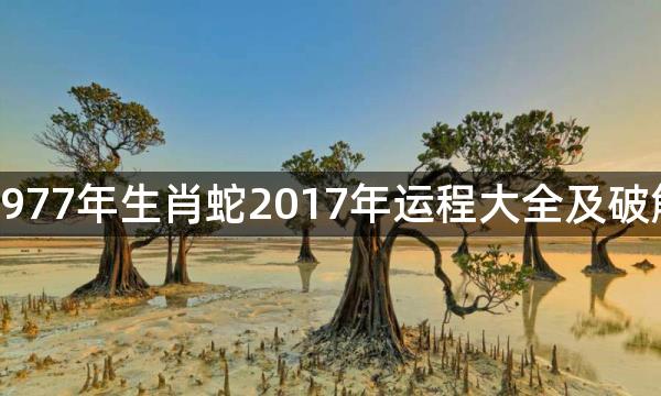 1977年生肖蛇2017年运程大全及破解