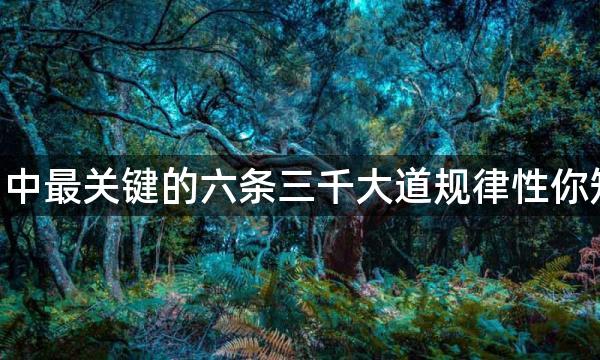 《周易》中最关键的六条三千大道规律性你知好多个？