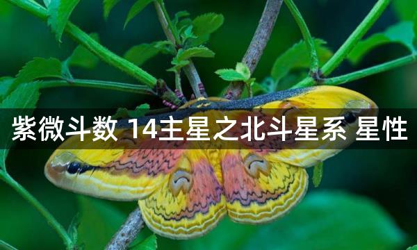 紫微斗数 14主星之北斗星系 星性