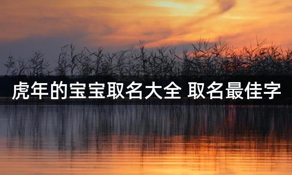 虎年的宝宝取名大全 取名最佳字