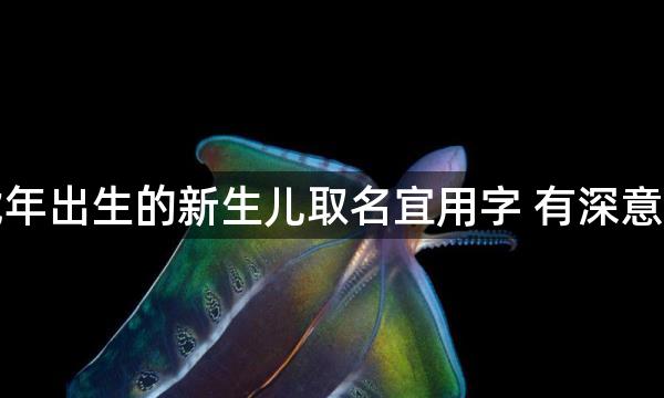 虎年出生的新生儿取名宜用字 有深意的