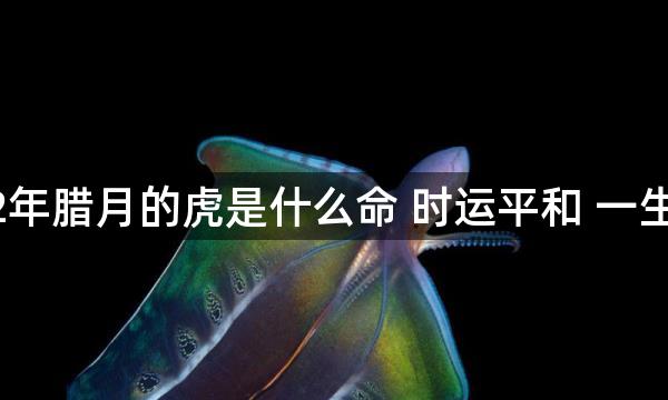 2022年腊月的虎是什么命 时运平和 一生幸福