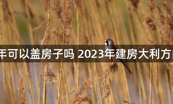 2023年可以盖房子吗 2023年建房大利方向坐向