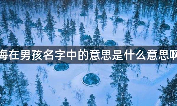 海在男孩名字中的意思是什么意思啊