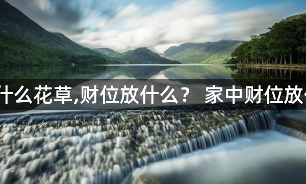 家中的明财位放什么花草,财位放什么？ 家中财位放什么植物最好运？