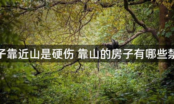 房子靠近山是硬伤 靠山的房子有哪些禁忌