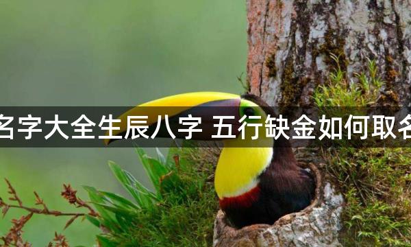 取名字大全生辰八字 五行缺金如何取名字