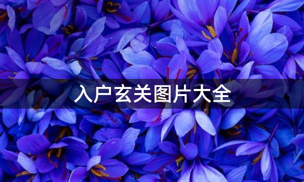 入户玄关图片大全