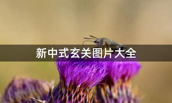 新中式玄关图片大全