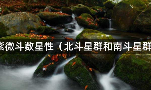 紫微斗数星性（北斗星群和南斗星群）