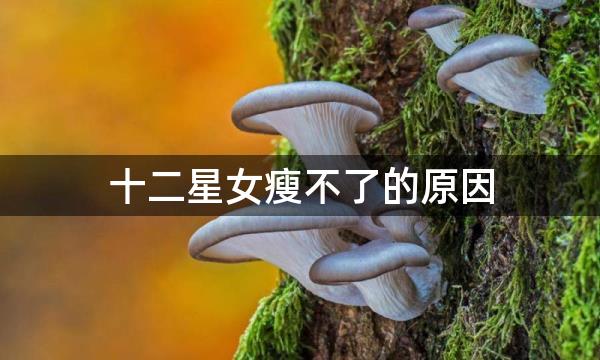 十二星女瘦不了的原因