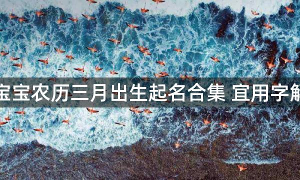 虎宝宝农历三月出生起名合集 宜用字解析