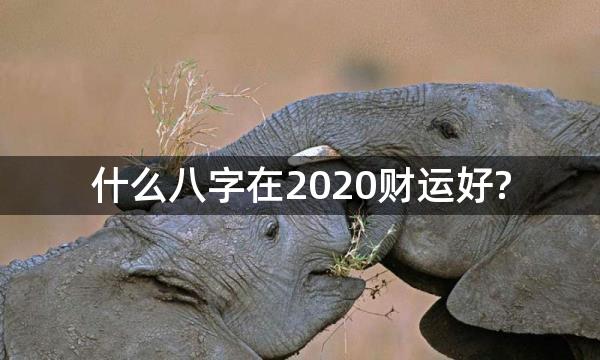 什么八字在2020财运好?