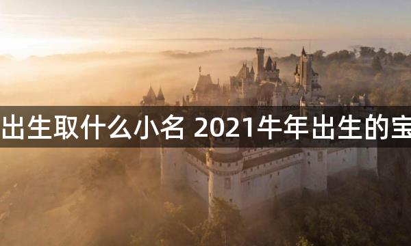 十二月出生取什么小名 2021牛年出生的宝宝小名